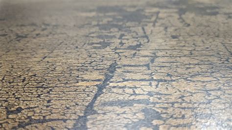 地面 的图像结果