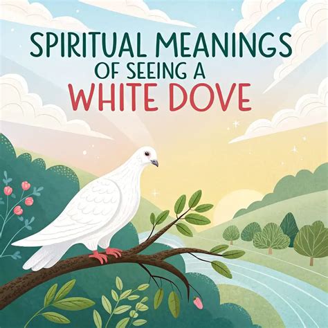 Spiritual Meanings Of Seeing A White Dove: Deep Symbolism
