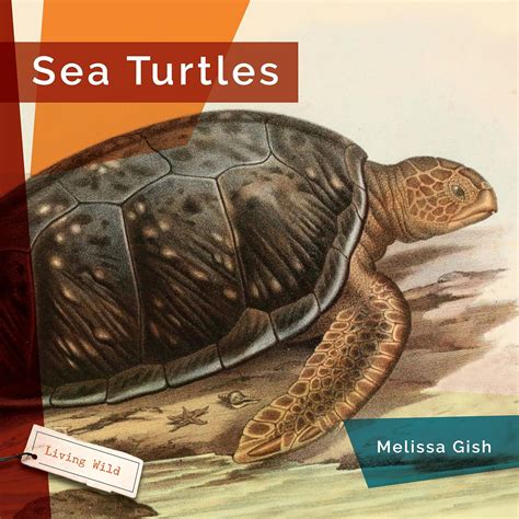 Sea Turtles (Living Wild) : Gish, Melissa: Amazon.in: Books
