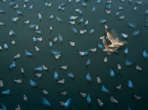 Winner Post | Nature InFocus