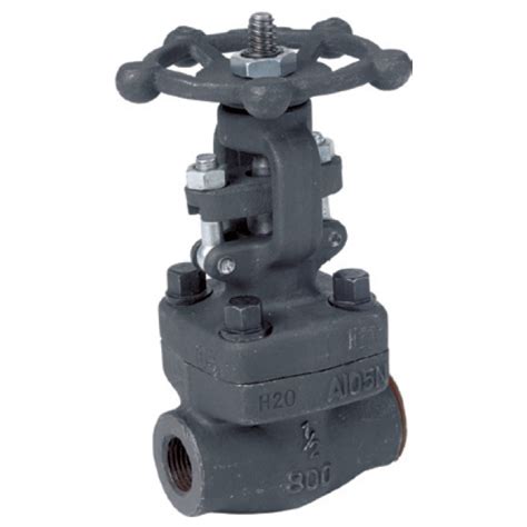 Zoro Select Gate Valve, Class 800, 3/4 Socket Weld, 43% OFF