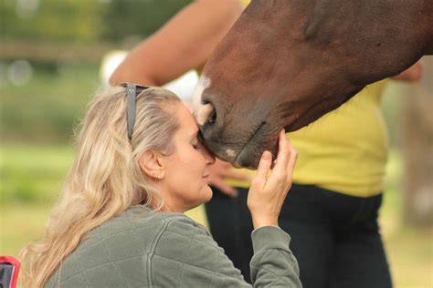 Experience Mindfulness and Meditation in nature with horses , Blackbury ...