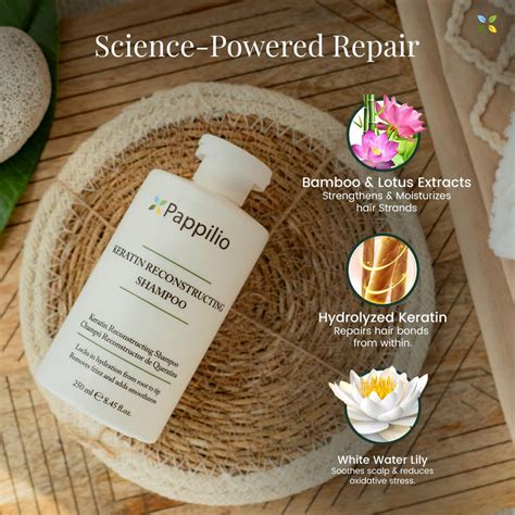 Hair Shampoo – Pappilio