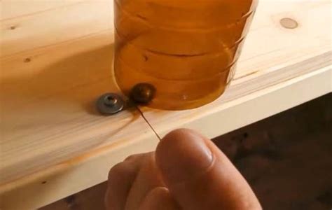 Image result for How to Recycle Plastic to String