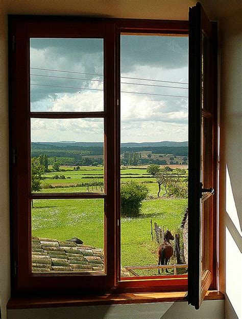 Image result for My Native Window