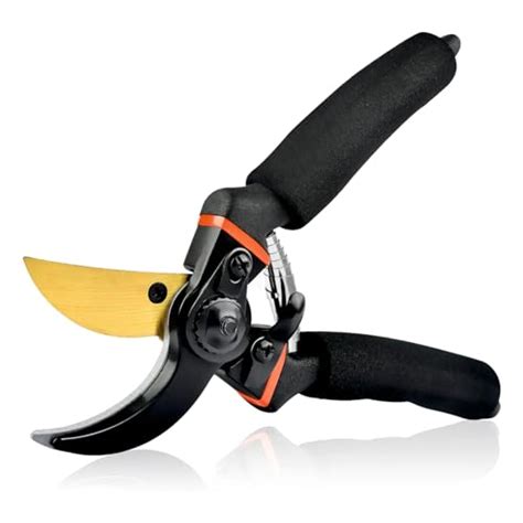 Amazon.in Bestsellers: The most popular items in Gardening Tools