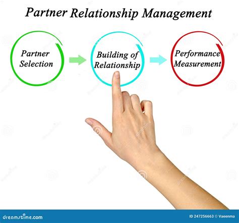 Partner Relationship Management Stock Image - Image of components, hand: 247256663