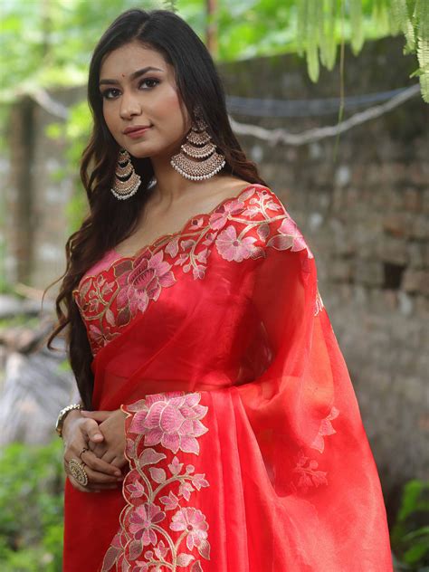 Banarasee Pure Organza Silk Saree With Floral Resham Embroidery-Red