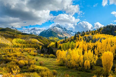 Environmental Pictures 的图像结果