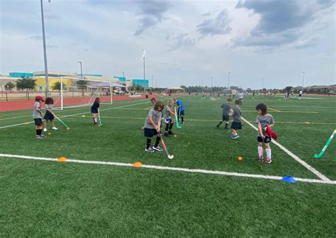 The British International School of Houston (Houston, Texas, USA)