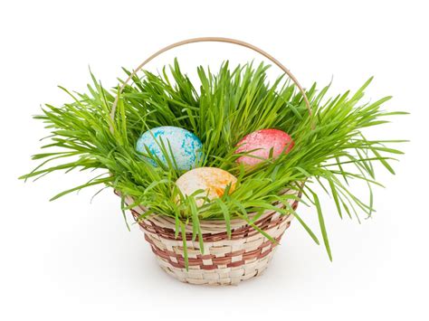 Green Easter Basket Grass at Randall Maupin blog