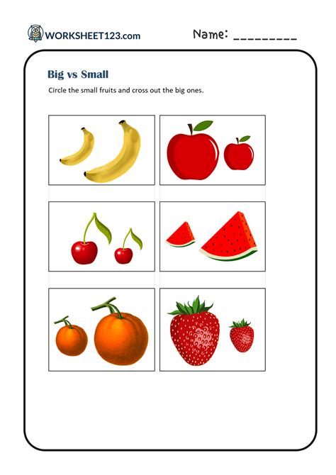 Big vs Small Worksheets: Size Comparison Practice