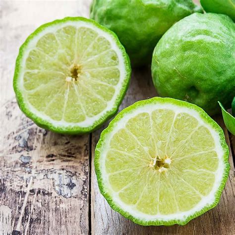 Kaffir Lime Seeds – Aromatic Lime Trees for Gardens – Dharaseeds