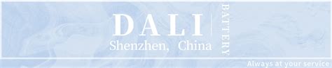 Company Overview - Shenzhen Dali Technology Co., Ltd.