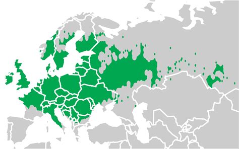 Teichmolch - Fakten, Ernährung, Lebensraum & Bilder auf Animalia.bio