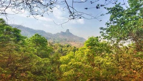 Pandavkada Waterfalls Offers A Splendid Experience To Visitors In 2026