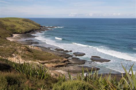 THE 10 BEST Places to Visit in Dargaville (2026)