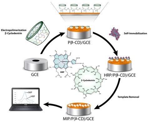 Green Aspects in Molecularly Imprinted Polymers by Biomass Waste ...