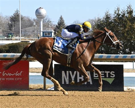 Busher Stakes - Odds, Race Results & History | TwinSpires