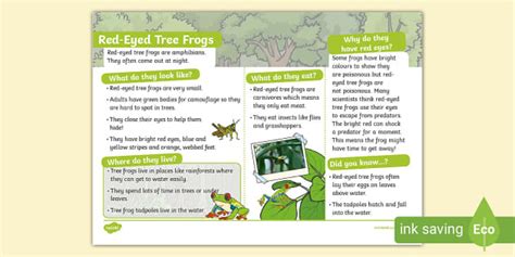 KS1 Red-Eyed Tree Frog Fact File (teacher made) - Twinkl