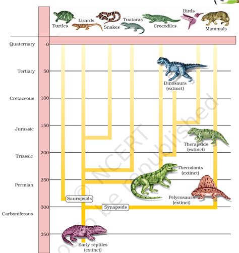SATHEE: Chapter 07 Evolution