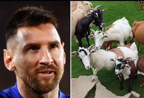 Optical Illusion Hides A Legendary Footballer, But Can You Spot Him?