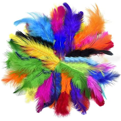 Asian Hobby Crafts Natural Dyed Feathers,for Craft Project, Hobby ...