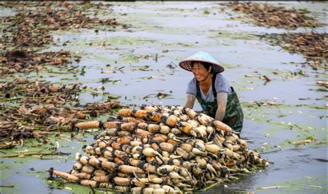 清华北大毕业5年，工资收入比不上农村大妈在家上班一年_工作