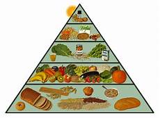 corretta alimentazione vegana tutto quello devi sapere sulla dieta vegana edo corretta alimentazione vegana tutto quello devi sapere sulla dieta vegana edo
