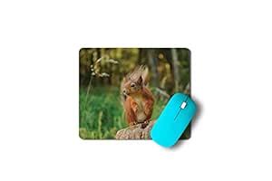 Yellow Alley Squirrel Mouse Pad Rubber Base|Mouse Pad for Computer ...