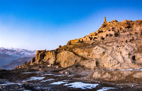 Embryonic Facial Development 的图像结果