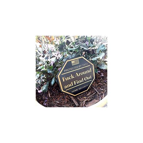 Fuck Around and Find Out Office Window Front Door | Ubuy India