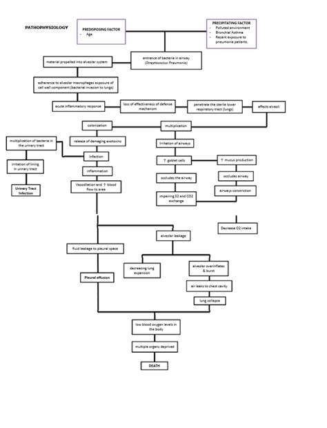 Pneumonia Algorithm 的图像结果