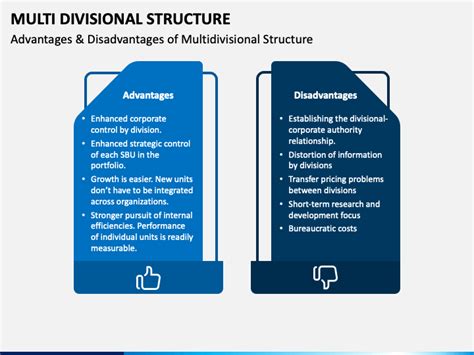 Multi-Divisional Structure Example 的图像结果