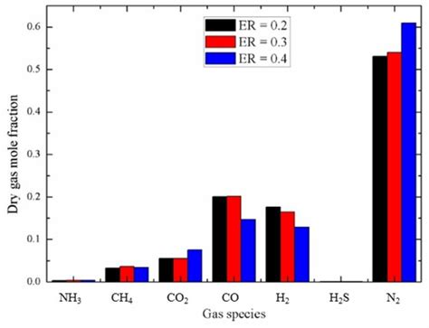 Simulation of Two-Phase Flow and Syngas Generation in Biomass Gasifier ...