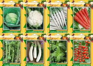 Airex Cabbage, Cauliflower, Daikon, Red Carrot, Mint, Cherry Tomato ...