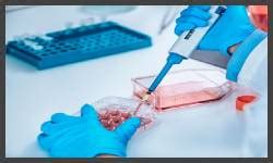 Biotechnology & Biosciences