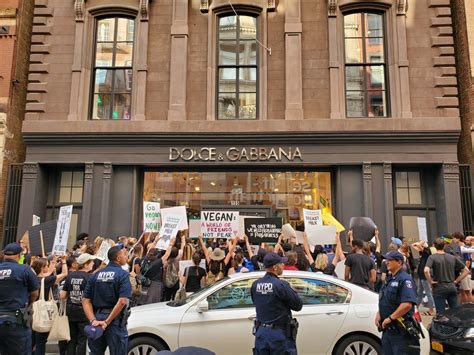 Image result for Note 10 Note 8