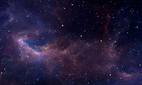 Image result for Space Wolves