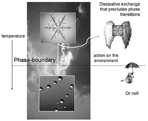 Schrödinger’s What is Life?—Complexity, Cognition and the City