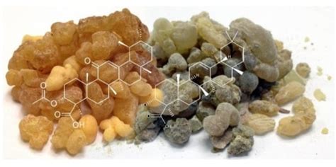 Quantitative Determination of 3-O-Acetyl-11-Keto-βBoswellic Acid (AKBA ...