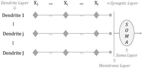 A Hyperparameter Self-Evolving SHADE-Based Dendritic Neuron Model for ...