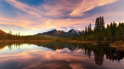 必应高清壁纸 的图像结果