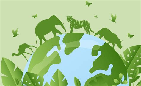 Animal Taxonomy Summit 2026 at the Zoological Survey of India | ATS