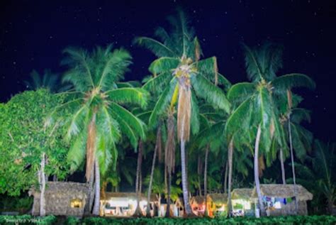 Janardan Elephant And Four Wise Men Resort Shaheed Dweep Ramnagar Neil ...