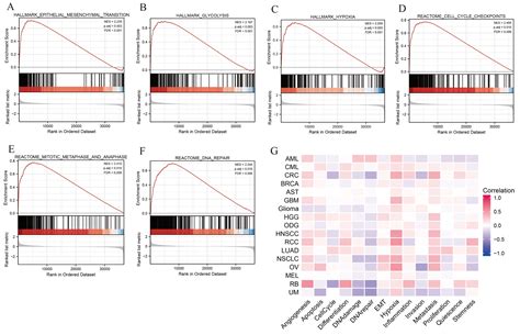 Glycolysis-Related SLC2A1 Is a Potential Pan-Cancer Biomarker for ...