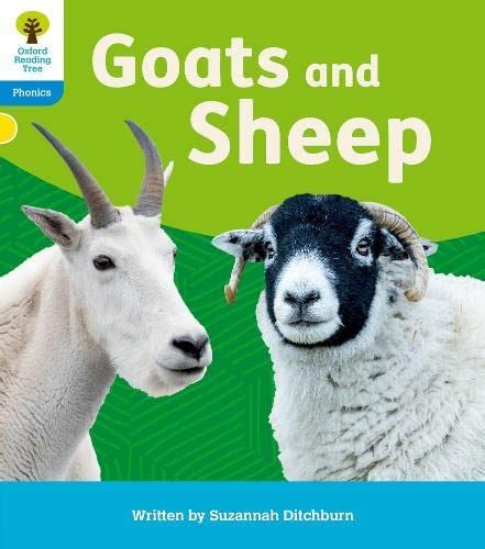 Oxford Reading Tree: Floppy's Phonics Decoding Practice: Oxford Level 3 ...