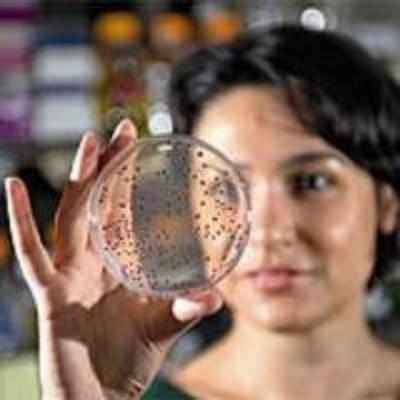 Jurassic Park in a Petri dish?