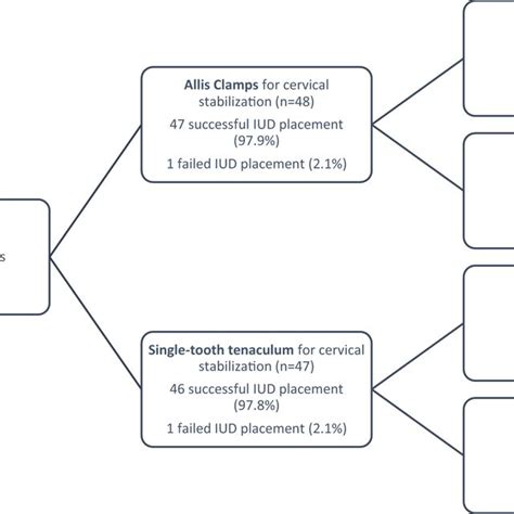 Image result for Random Allocation