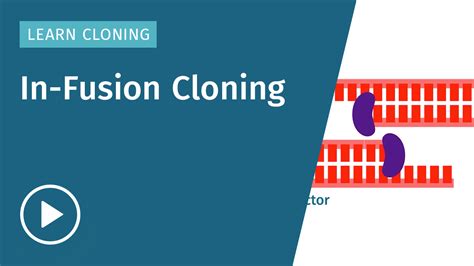 Cloning Method 的图像结果